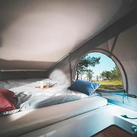 Nomadism موروج